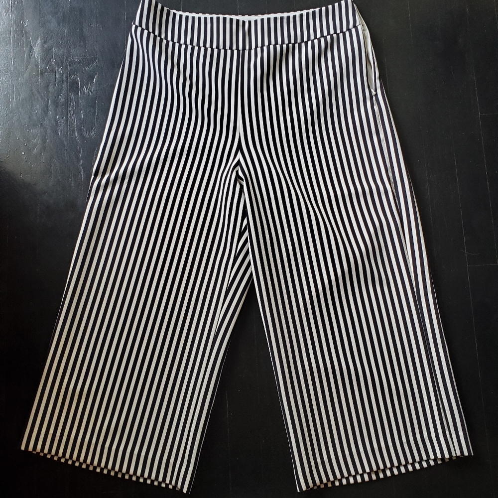 Express size 14 Culottes